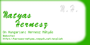 matyas hernesz business card